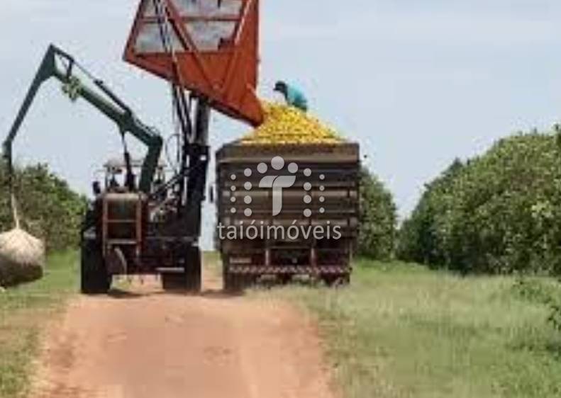 Fazenda venda REGIÃO REGIÃO SÃO JOSE DO RIO PRETO - Referência TI642